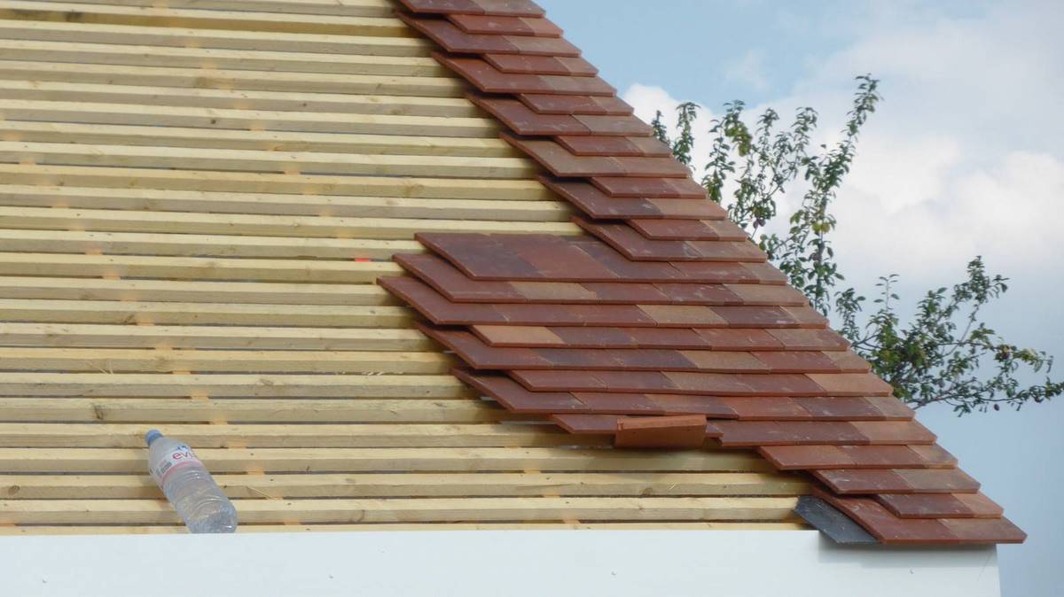 maison bois natilia